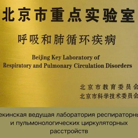 Certificate 6